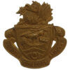 Portsmouth Southern Grammar School O.T.C. Cap Badge