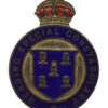 Reading Special Constabulary Enamelled Cap/Lapel Badge - King's Crown