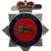 Surrey Police Enamelled Warrant Card Badge