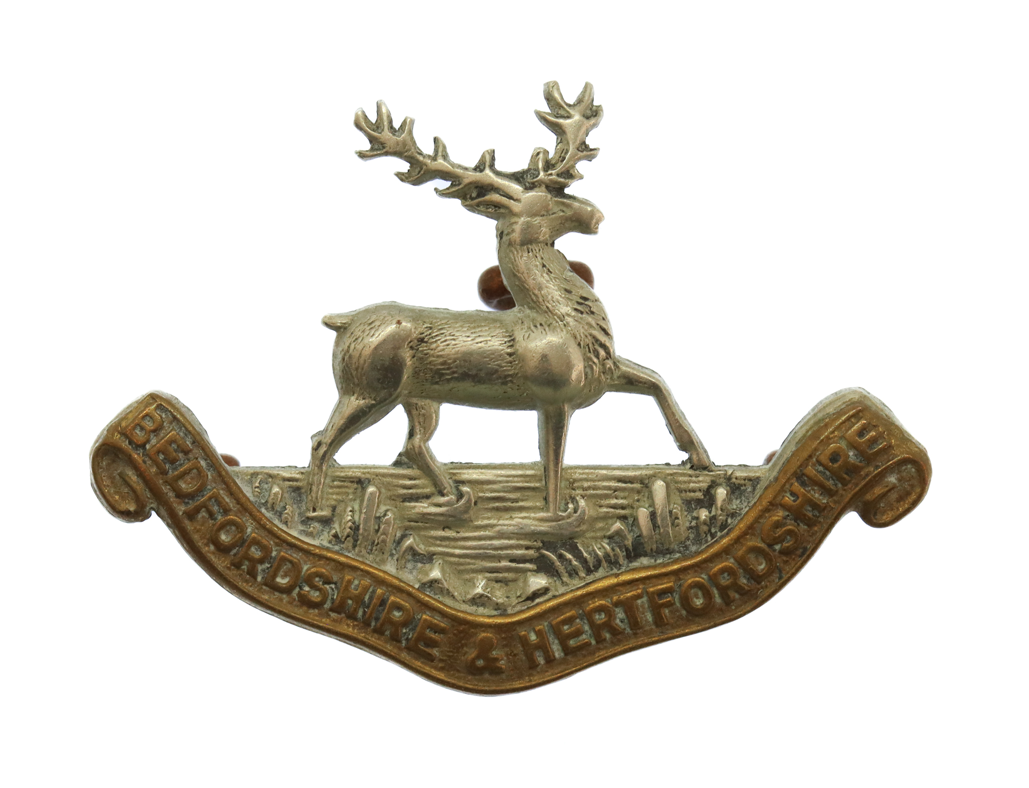 Bedfordshire & Hertfordshire Regiment Bi-metal Collar Badge