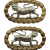Pair of Royal Leicestershire Regiment Anodised (Staybrite) Collar Badges