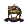 The Queen's (Royal West Surrey) Regiment Enamelled Lapel Badge