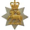 Queen's Royal Surrey Regiment Officer's Cap Badge