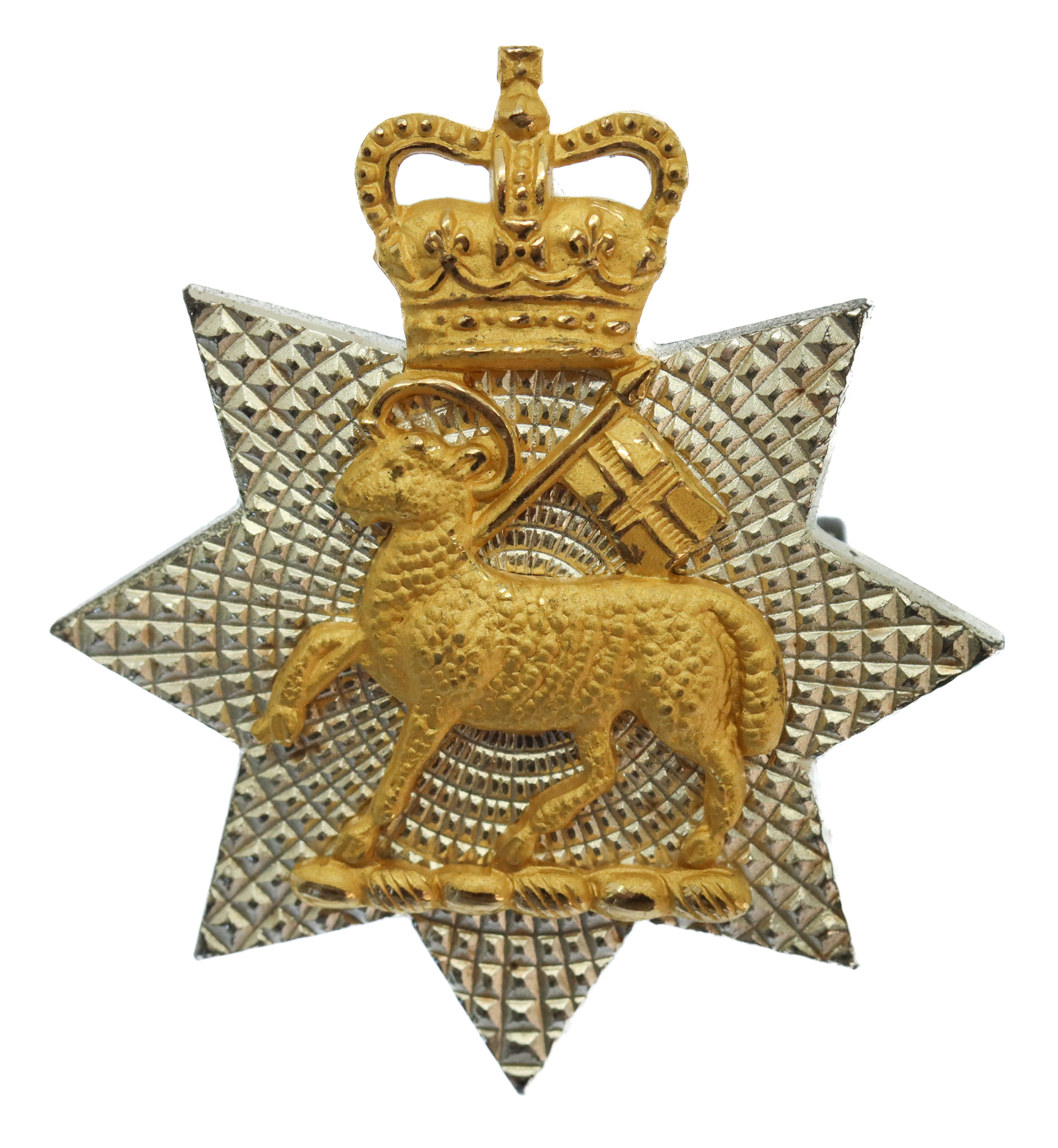 Queen's Royal Surrey Regiment Officer's Cap Badge