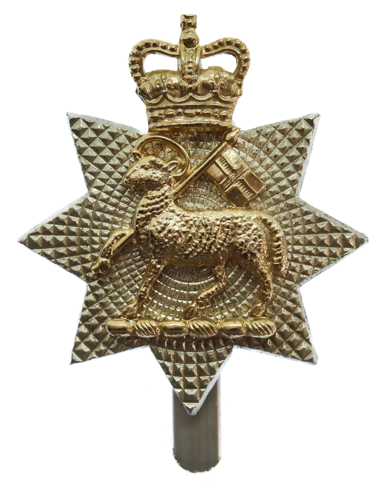 The Queen's Royal Surrey Regiment Anodised (Staybrite) Cap Badge