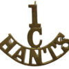 1st Cadet Bn. Hampshire Regiment (1/C/HANTS) Shoulder Title