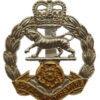 Royal Hampshire Regiment Anodised (Staybrite) Cap Badge