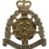 Hampshire & Isle of Wight Territorials Anodised (Staybrite) Cap Badge