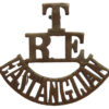 Royal Engineers Territorials East Anglian Divisional Engineers (T/RE/EASTANGLIAN) Shoulder Title
