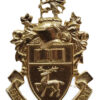 Southampton University O.T.C. Anodised (Staybrite) Cap Badge