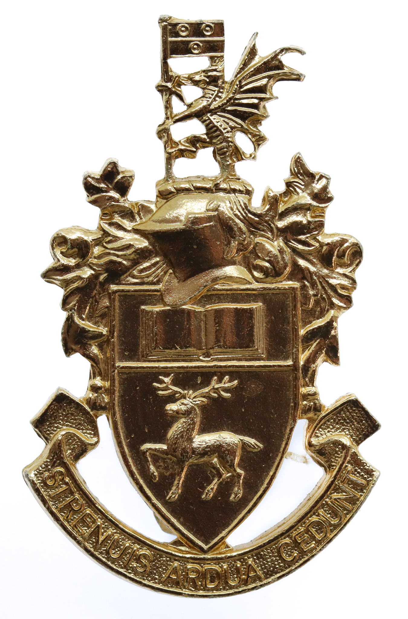 Southampton University O.T.C. Anodised (Staybrite) Cap Badge