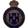 Reading Special Constabulary Enamelled Cap/Lapel Badge - King's Crown