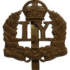 Leicestershire Yeomanry (Prince Albert's Own) Cap Badge - King's Crown