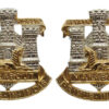 Pair of Devonshire & Dorset Regiment Anodised (Staybrite) Collar Badges