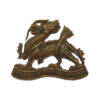 Royal Berkshire Regiment Collar Badge