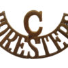 Notts & Derby Regiment (Sherwood Foresters) Cadets (C/FORESTERS) Shoulder Title