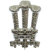 Welsh Brigade Anodised (Staybrite) Cap Badge