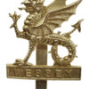 Wessex Brigade Anodised (Staybrite) Cap Badge