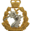 Royal Army Dental Corps (R.A.D.C.) Officer's Cap Badge - Queen's Crown