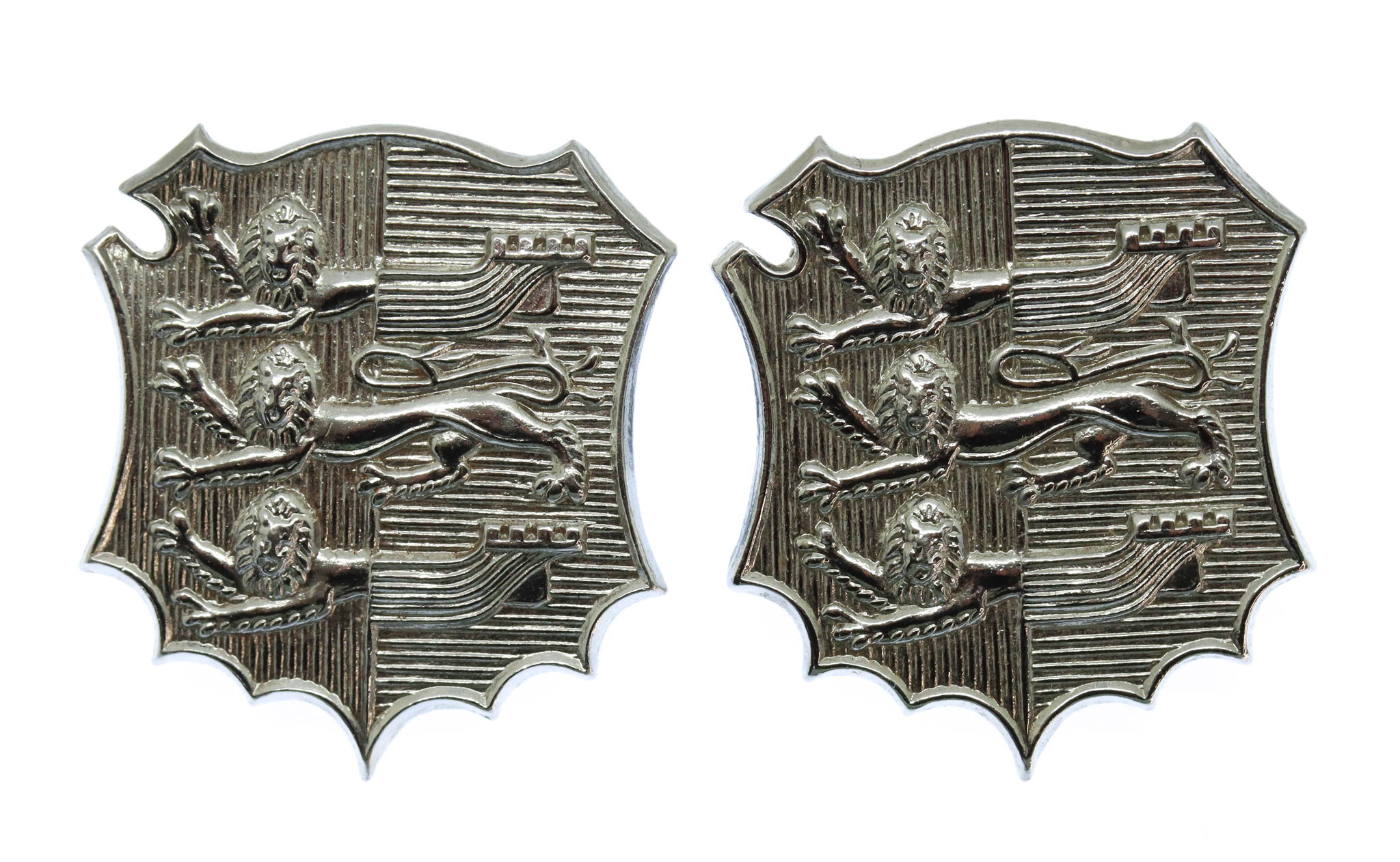 Pair of Hastings Borough Police Collar Badges