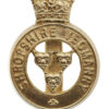 Shropshire Yeomanry Anodised (Staybrite) Cap Badge - Queen's Crown
