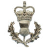 Queen's Own Highlanders Anodised (Staybrite) Sporran Badge - Queen's Crown