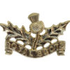 Royal Scots (The Royal Regiment) Anodised (Staybrite) Collar Badge