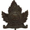 Canadian 29th Waterloo Regiment Cap Badge - King's Crown