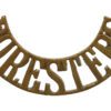 Sherwood Foresters Notts & Derby Regiment (FORESTERS) Shoulder Title