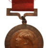 China, Sanqi (Panax Notoginseng) Instructor Medal