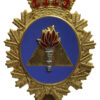 Canadian Forces Training Development Branch Cap Badge