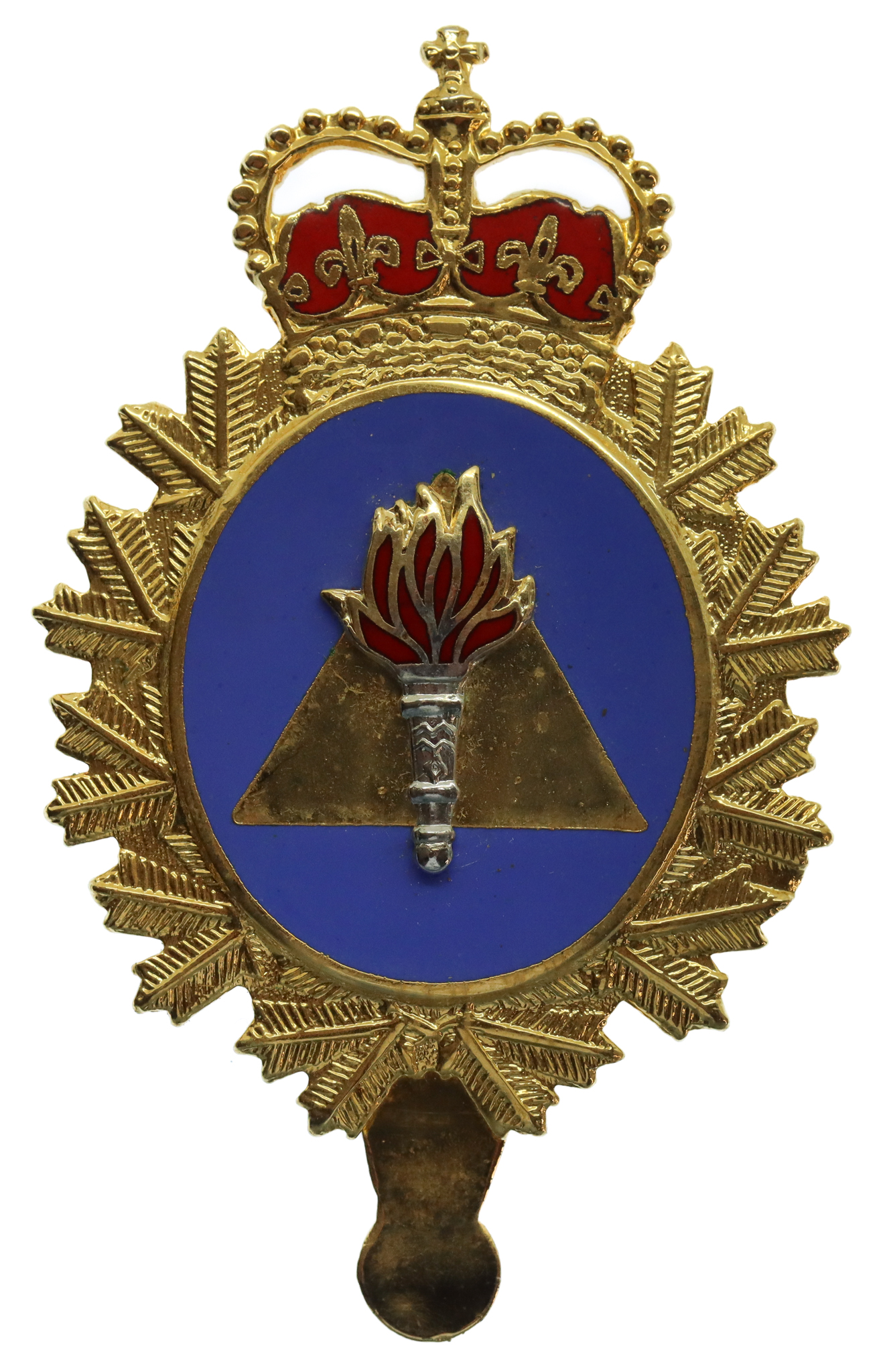 Canadian Forces Training Development Branch Cap Badge