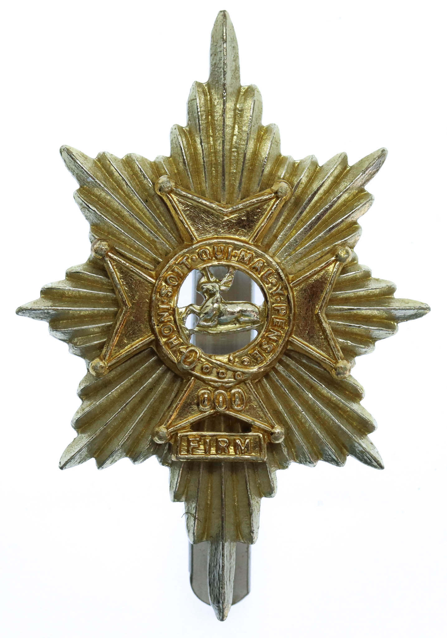Worcestershire & Sherwood Foresters Anodised (Staybrite) Cap Badge