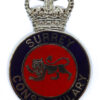 Surrey Constabulary Enamelled Cap Badge - Queen's Crown
