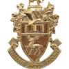 Southampton University O.T.C. Anodised (Staybrite) Cap Badge