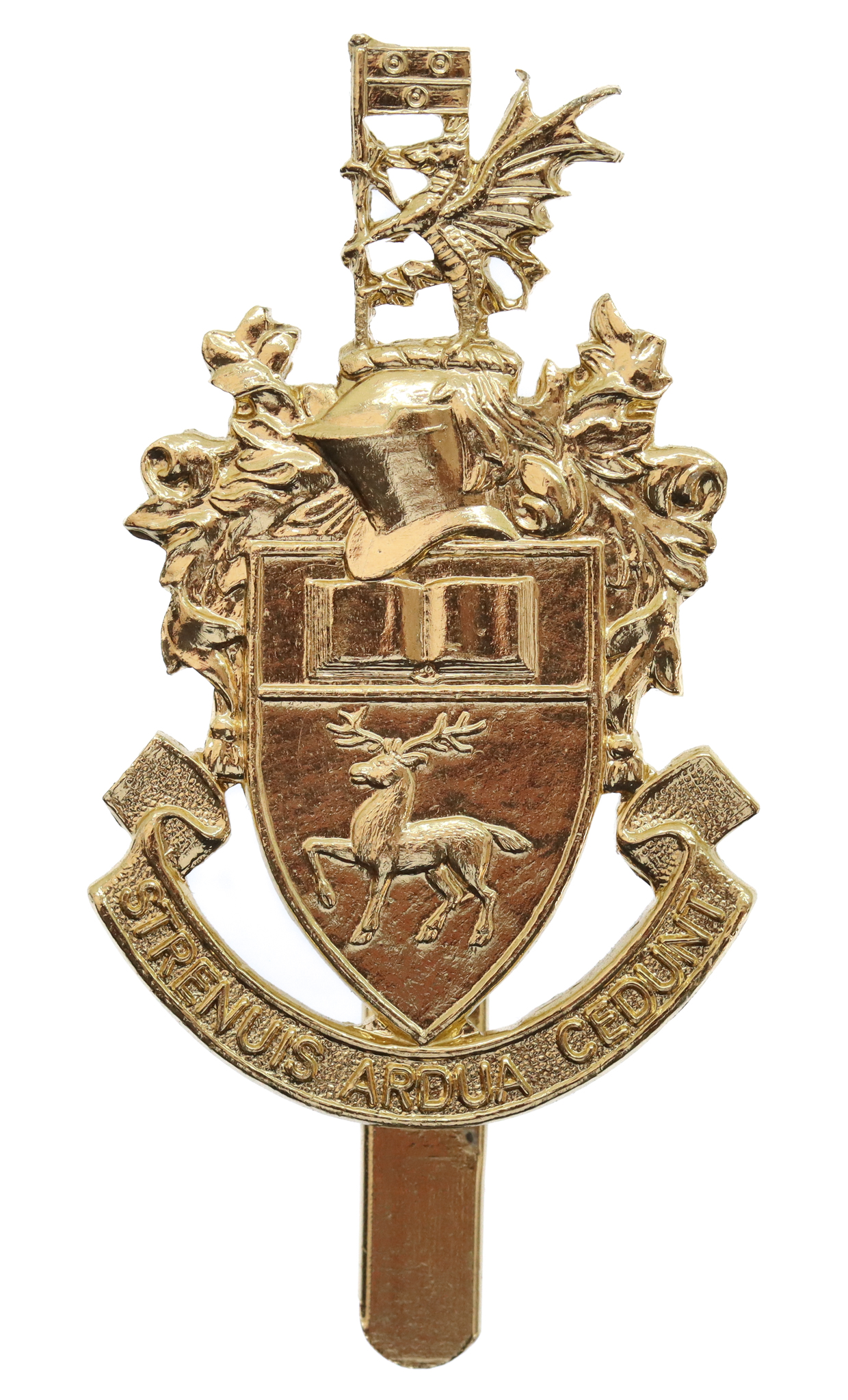 Southampton University O.T.C. Anodised (Staybrite) Cap Badge