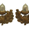 Pair of Cheshire Regiment Bi-Metal Collar Badges