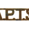 Army Physical Training Staff (A.P.T.S.) Shoulder Title