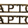 Pair of Army Physical Training Corps (A.P.T.C.) Anodised (Staybrite) Shoulder Titles