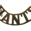 Hampshire Regiment (HANTS) Shoulder Title