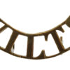 Wiltshire Regiment (WILTS) Shoulder Title