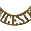 Leicestershire Regiment (LEICESTER) Shoulder Title