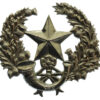 Cameronians (Scottish Rifles) Cap Badge