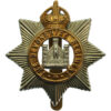 Devonshire Regiment Cap Badge - King's Crown