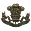 Welsh Regiment Collar Badge