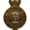 Army Catering Corps Bi-Metal Cap Badge - King's Crown