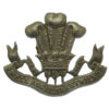 Welsh Regiment Collar Badge