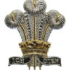 Royal Regiment of Wales Anodised (Staybrite) Cap Badge