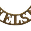Welsh Regiment (WELSH) Shoulder Title