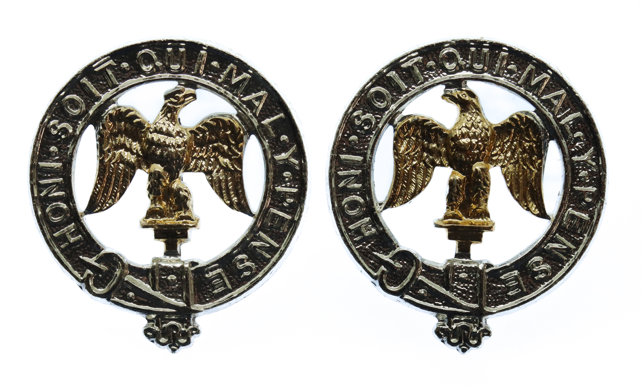 Pair of 3rd Bn. Royal Anglian Regiment Anodised (Staybrite) Collar Badges